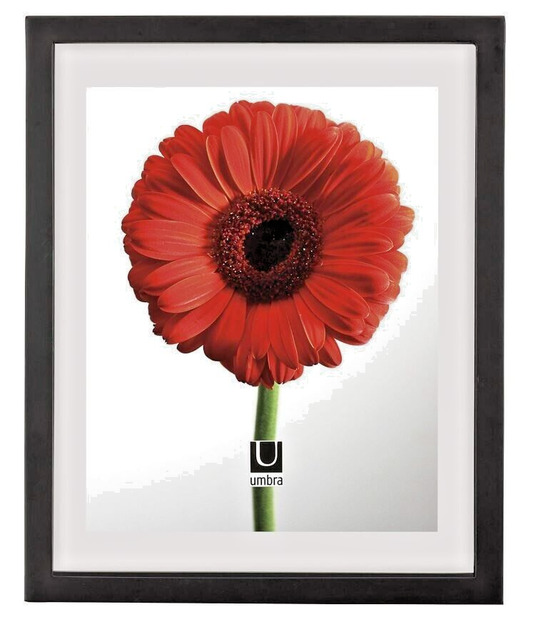 Umbra Large Document Frame, Display Photos or Artwork 11" x 14", Black