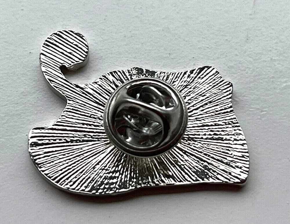 Pink Floyd Vintage Lapel Hat Vest Pin