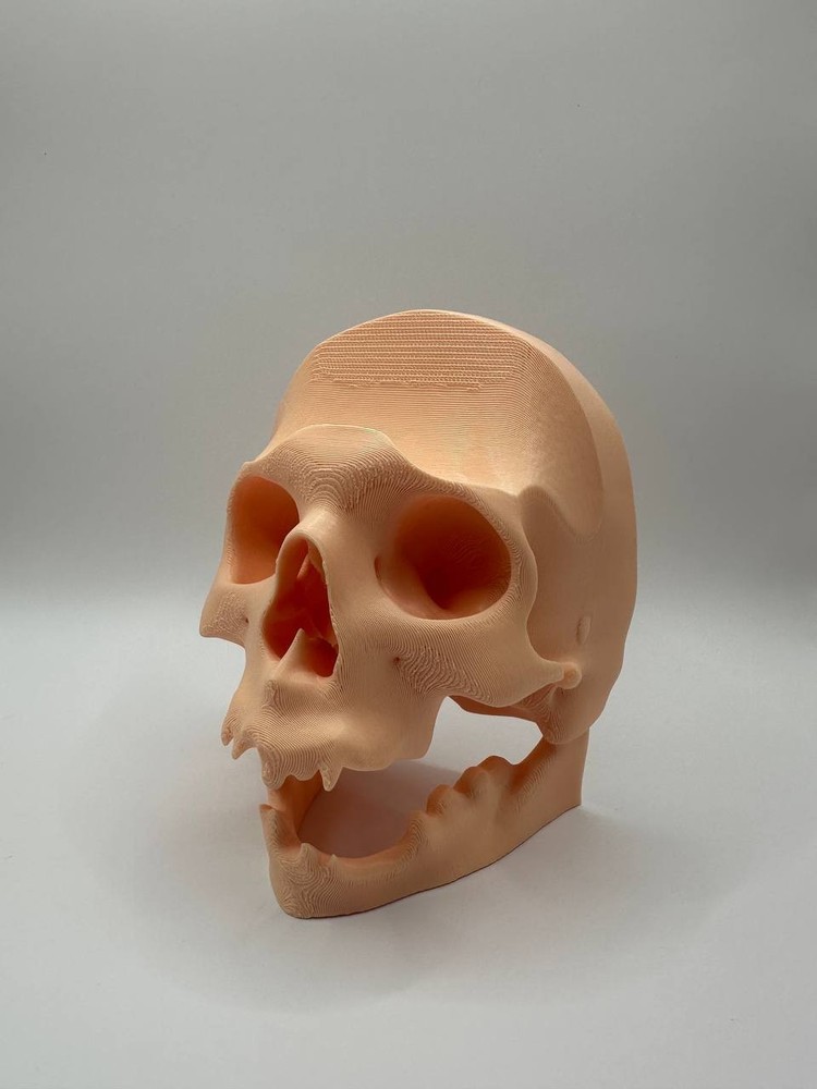 Skull PS5 Controller Wall Mount Holder Stand Gaming Decor Headset Hook