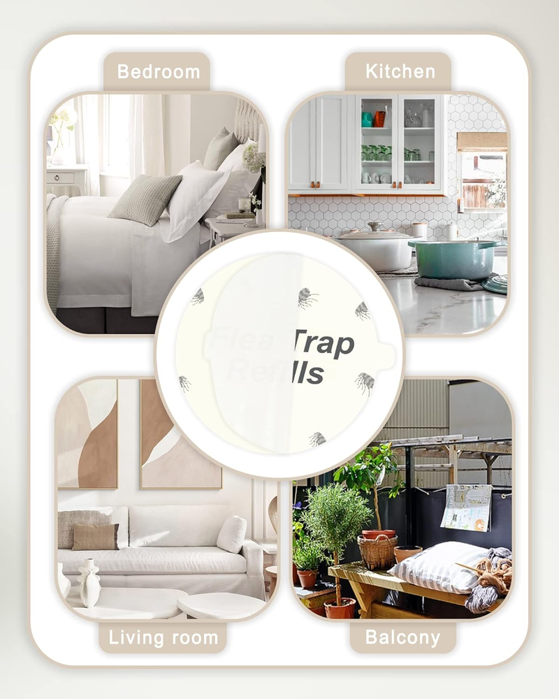 20 Pack Flea Trap Refill Discs Replacement Glue Boards