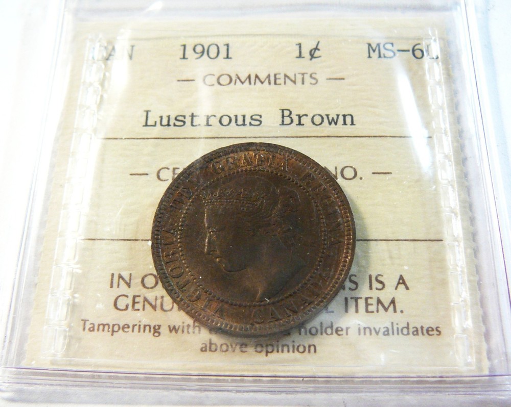 1901 1c ICCS MS 60 Canada Cent Lustrous Brown
