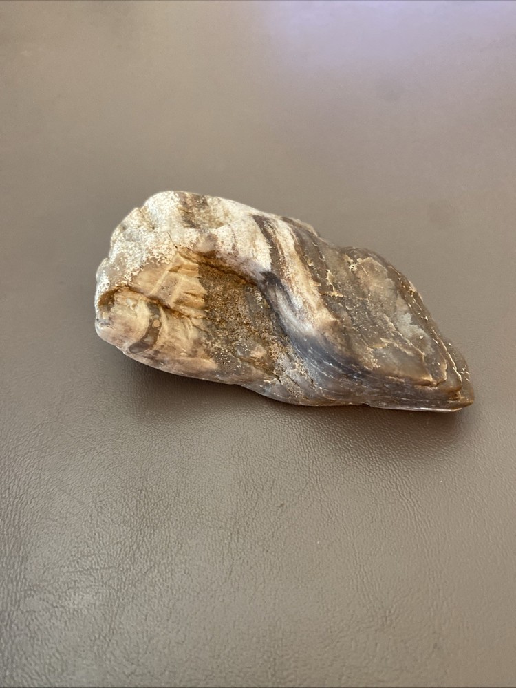 Petrified Wood