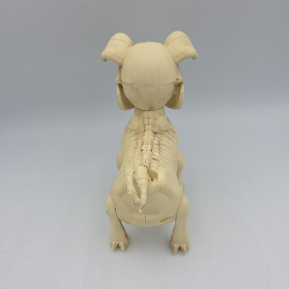Animated Pig Skeleton 7"
