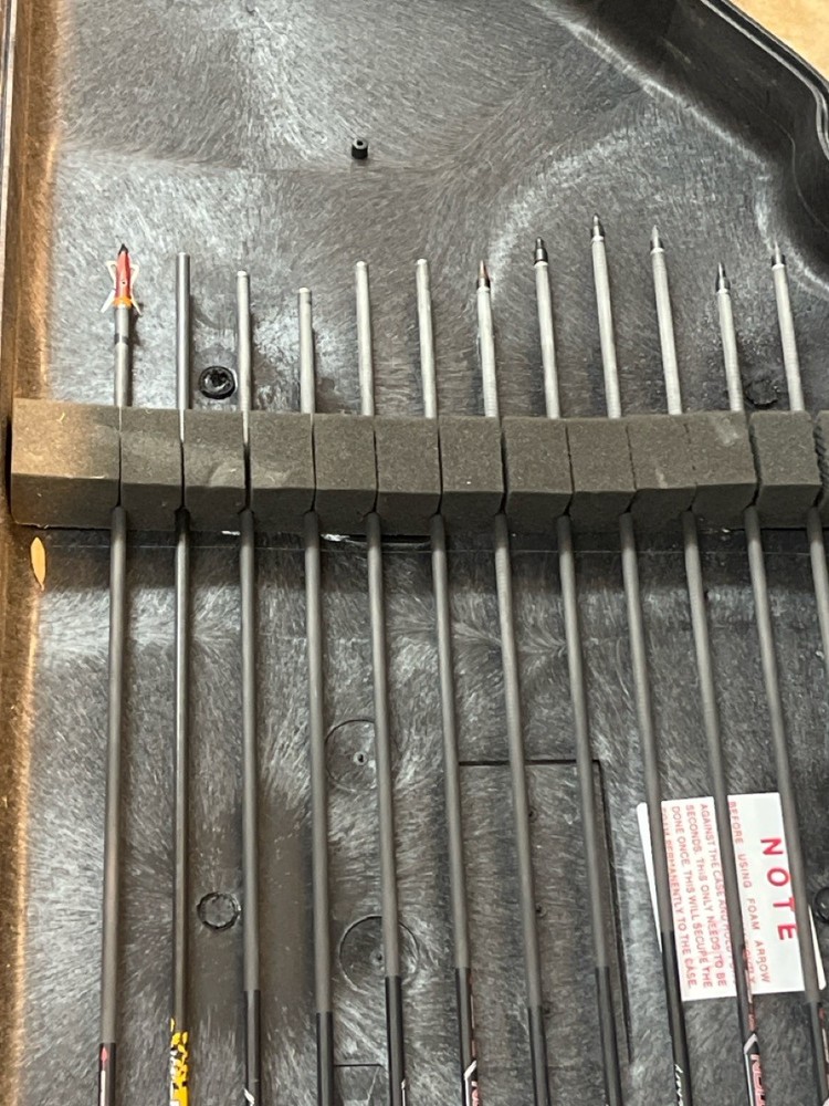 FRED BEAR BUCKMASTER 4000 (PSN040687)