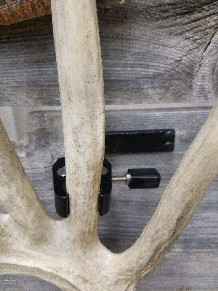 Antler Shed Display Clamp