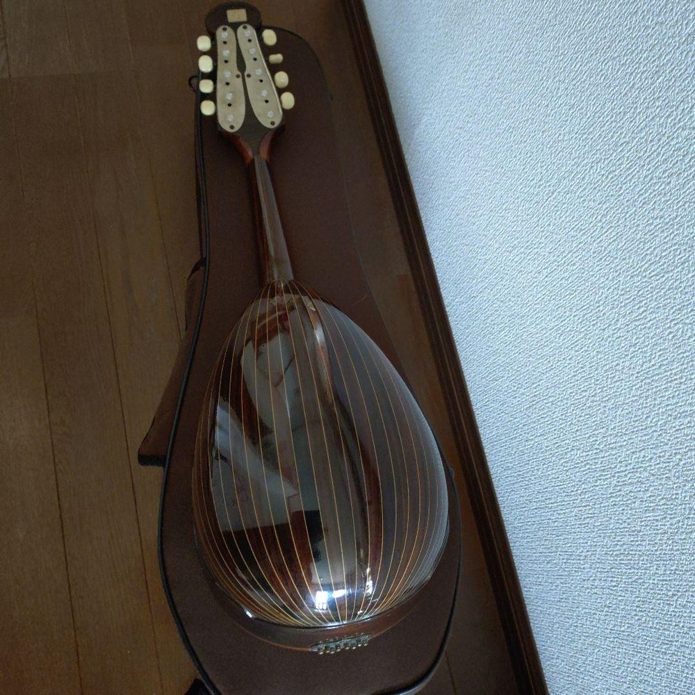 Colored Chemandolin 8 strings