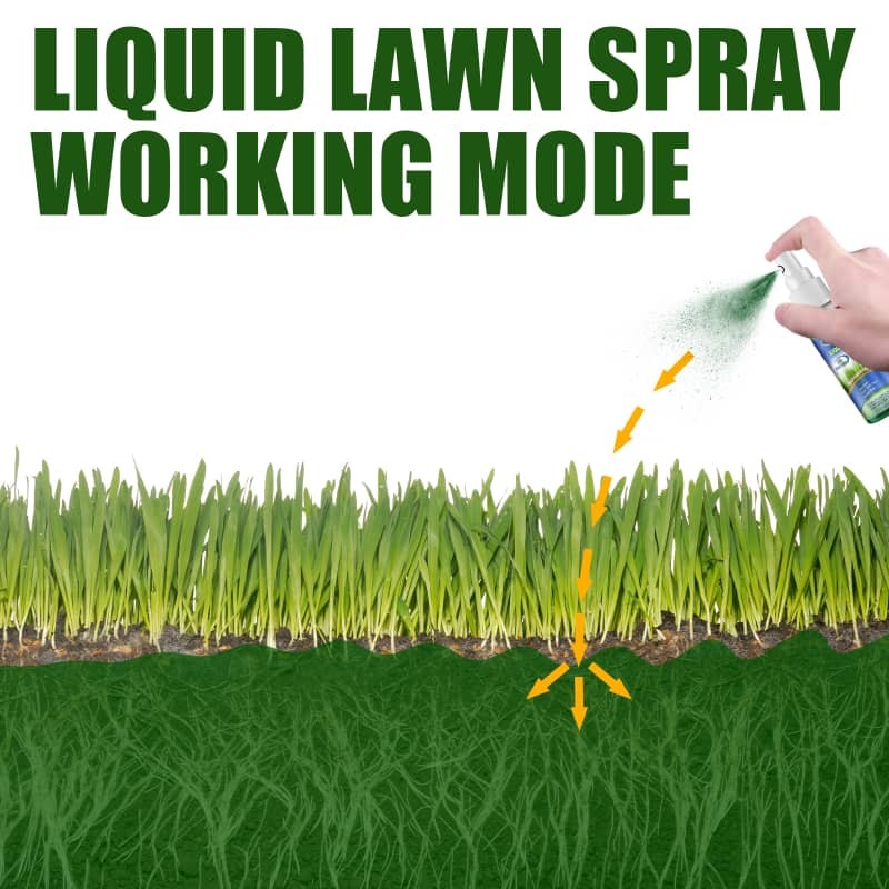 Green Lawn Spray Backyard Outdoor Field Grass Growth Nutrient Solution Spray