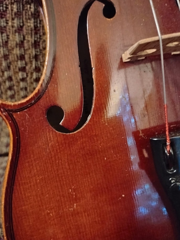 Violin