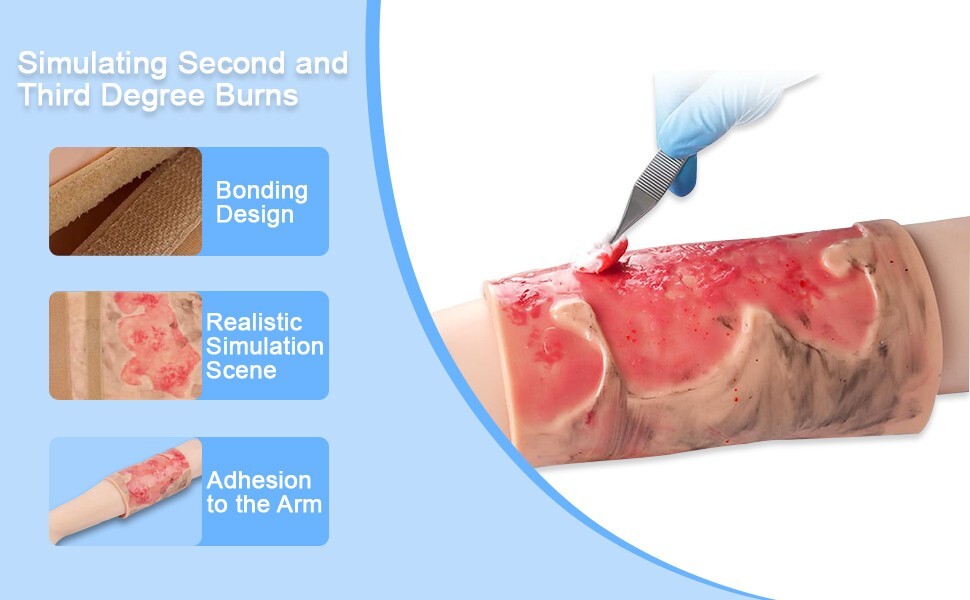 Limbs Burn Model, with Realistic Wound Simulation Module,Medical First Aid Train