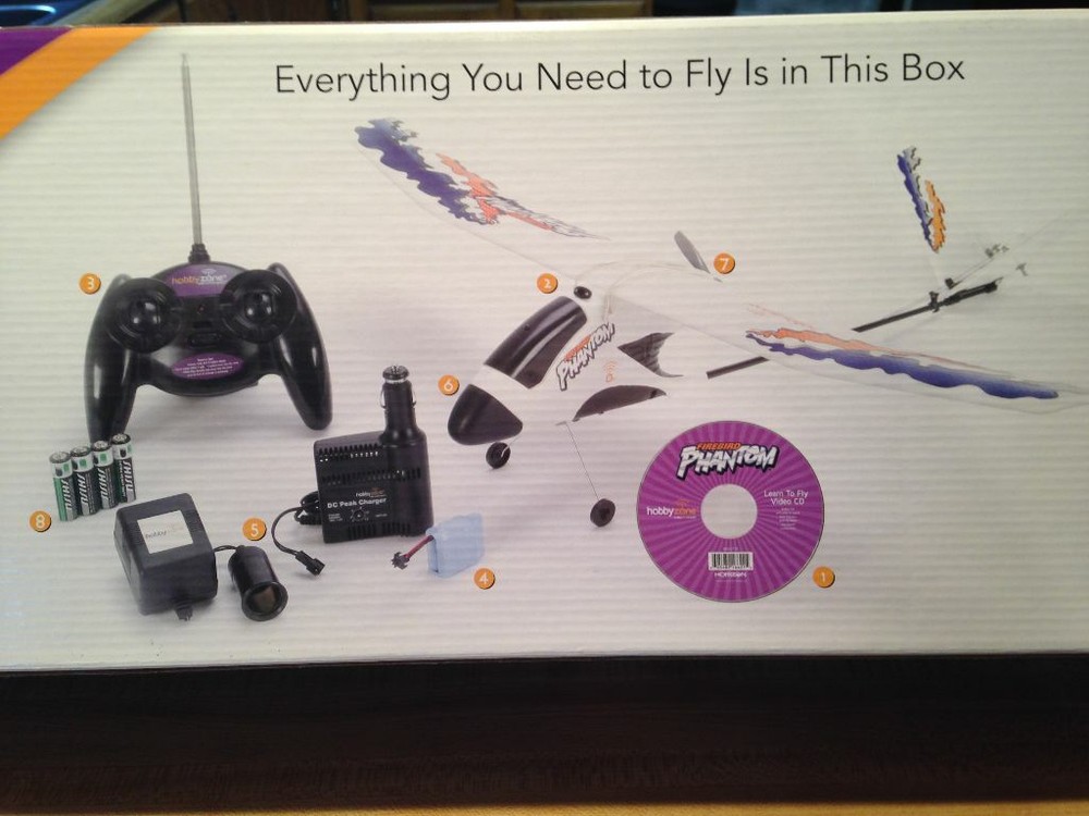 Hobbyzone Firebird Phantom RC Pusher Glider Airplane - RTF Version With ACT