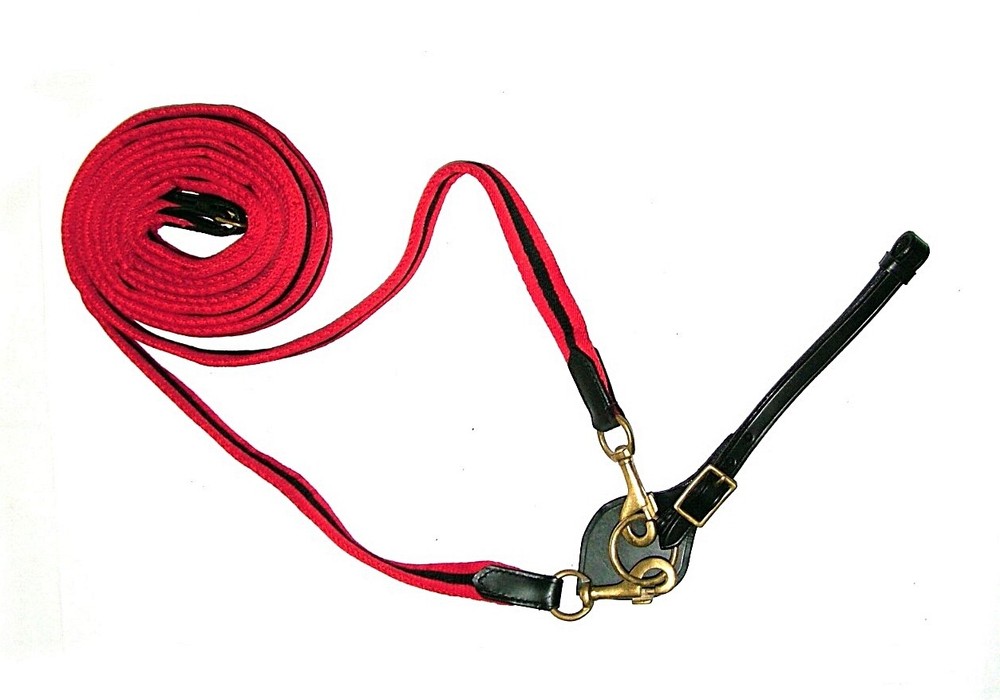 Return Reins In Padded Canvas