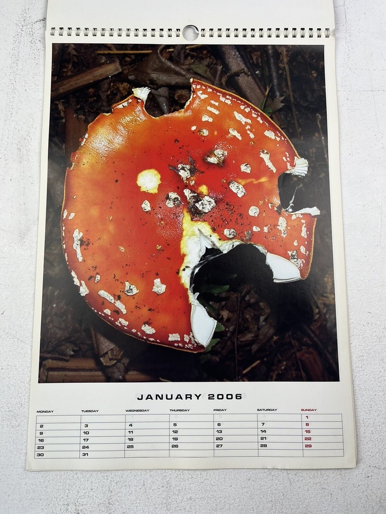 Magic Mushroom 2006 Popkorn Calendar