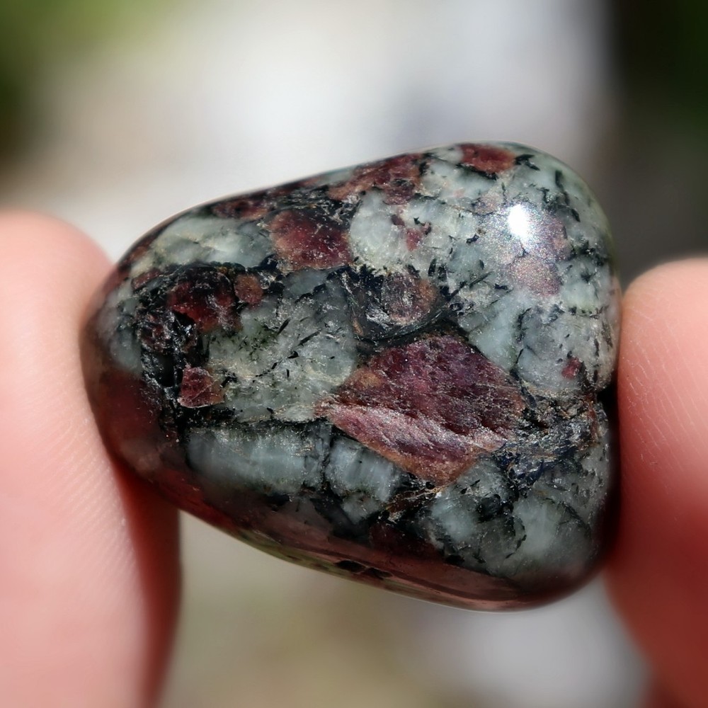 Polished Eudialyte (EUD42)