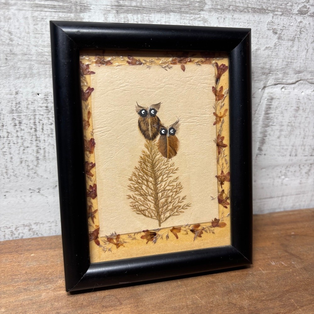 Vintage Botanical Owl Pressed Art Black Frame