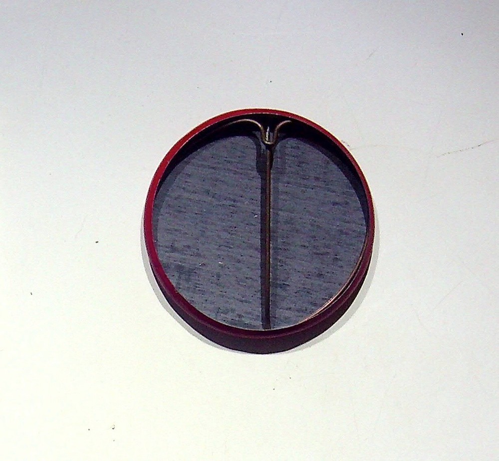 DISK, TOO, SHALL PASS COMPUTERWORLD - VINTAGE BUTTON PIN