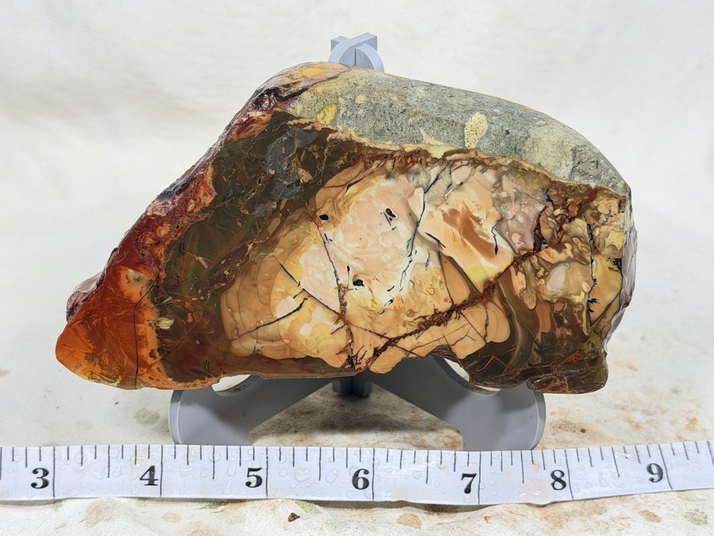 Carrasite Jasper Heel , Lot #344