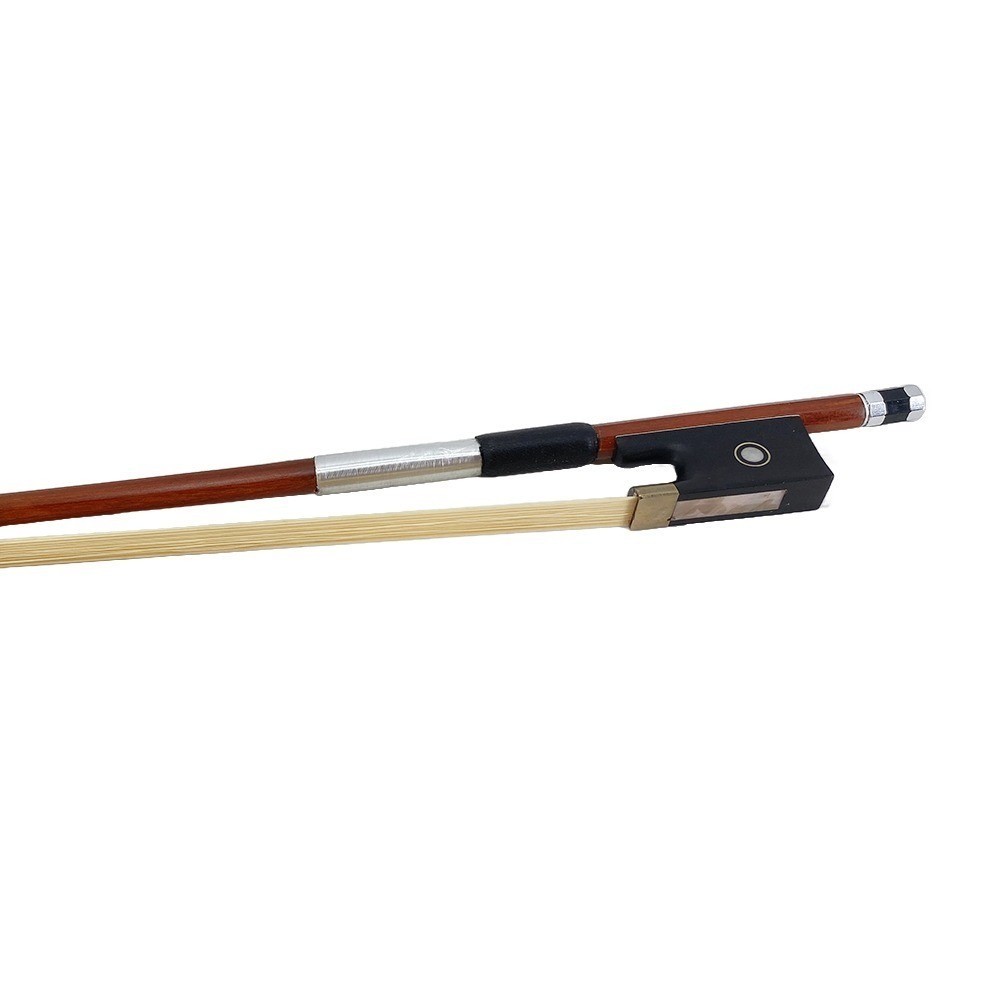 4/4 Violin Spruce Top Maple Back Beginner Gift Set with Case,Bow,Shoulder Rest