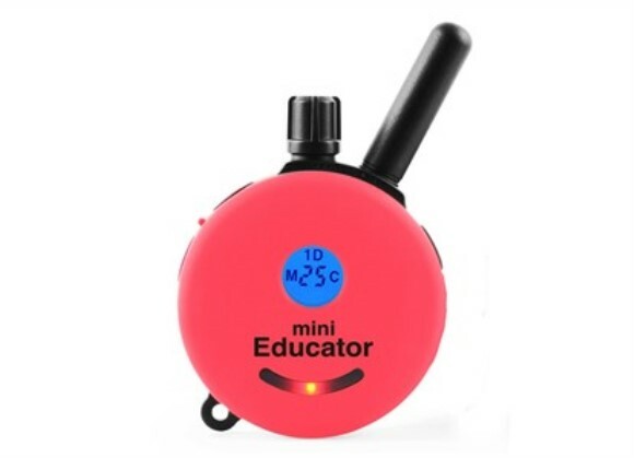 Educator E-Collar Technologies Transmitter for ET-300 Series ONLY- Fast Ship