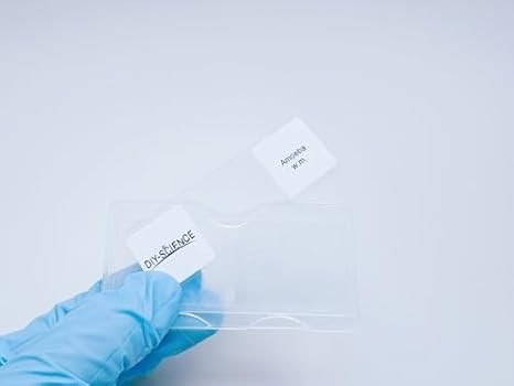 Amoeba Proteus Microscope Slide - Prepared Showing Nucleus & Cell Structures