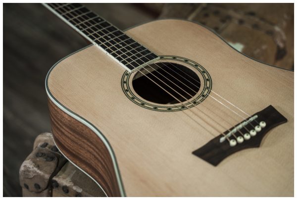 Delta Woods® DW-2™ Solid Top Dreadnought Acoustic Guitar with Case