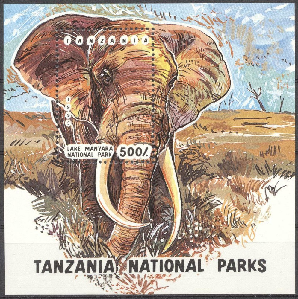 (178476) Elephant, Tanzania