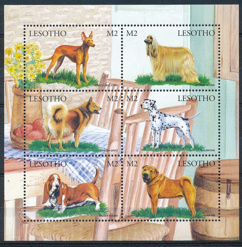 Lesotho - MNH Dogs Pets Sheet (1998)