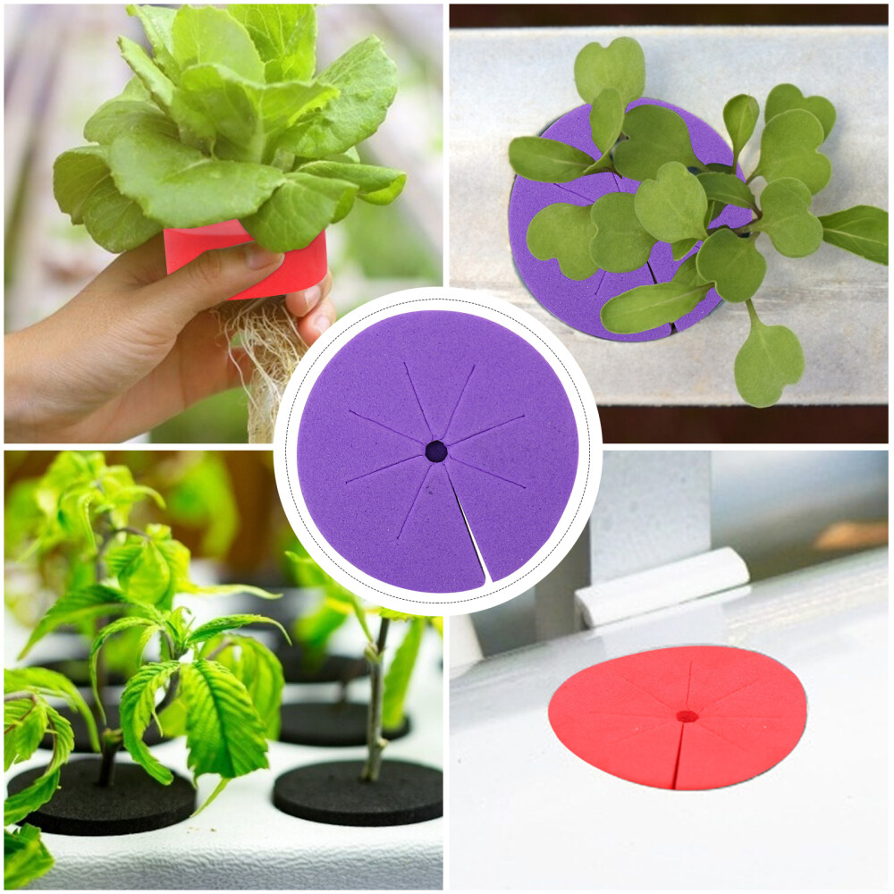 50PCS Hydroponics Clone Machine Inserts Garden Clone Collars Hydroponics Clone