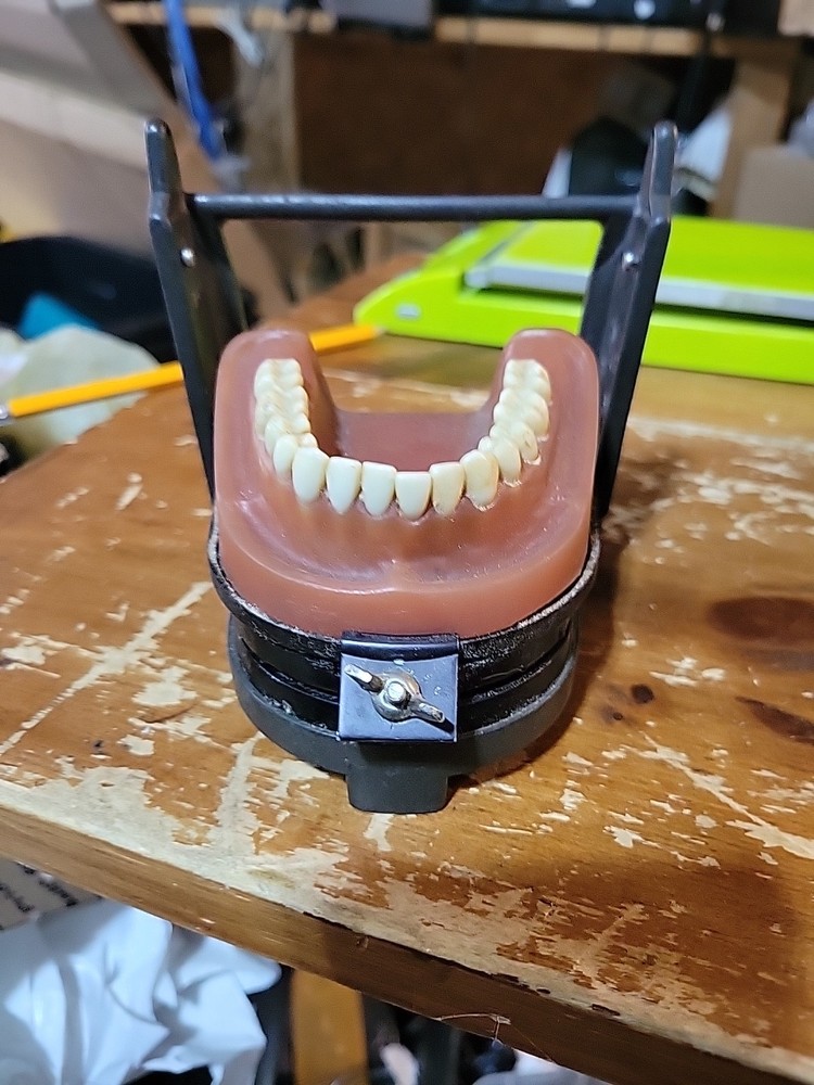 Vintage Dental Model, Typodont Model, Orthodontic Simulation Training As Is