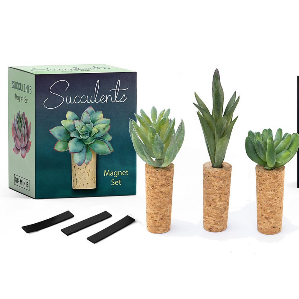 Hachette Succulent Magnet Set