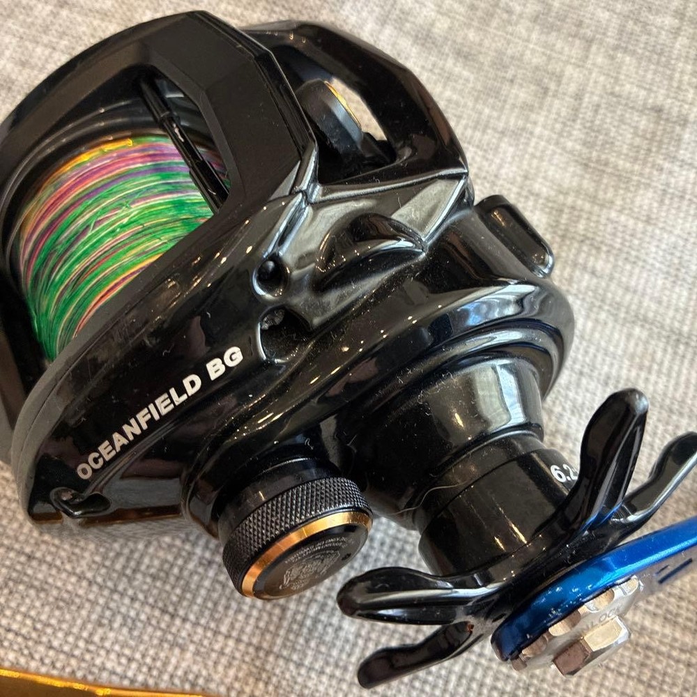 Oceanfield BG Bait Reel AbuGarcia