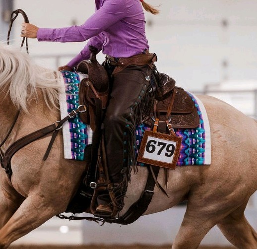 Bentley Pleasure Show Pad In Pagent