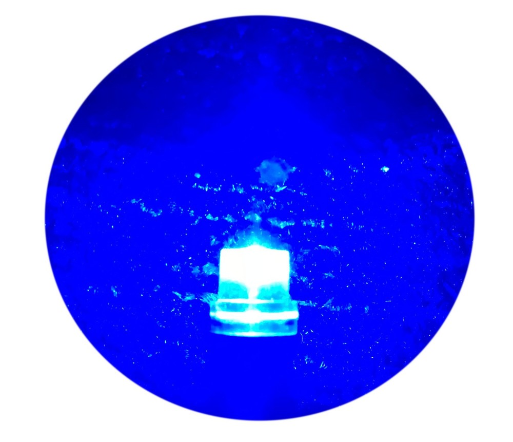 #53 182 363 1445 LED Replacement Indicator Bulb | 12V