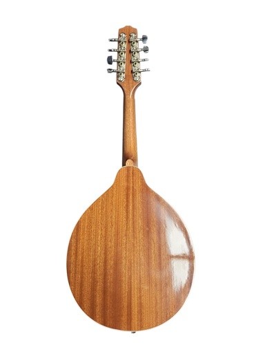 Custom A-Style Mandolin with Hardshell Case