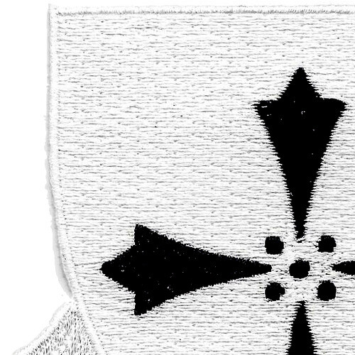 381st Infantry Regiment Patch