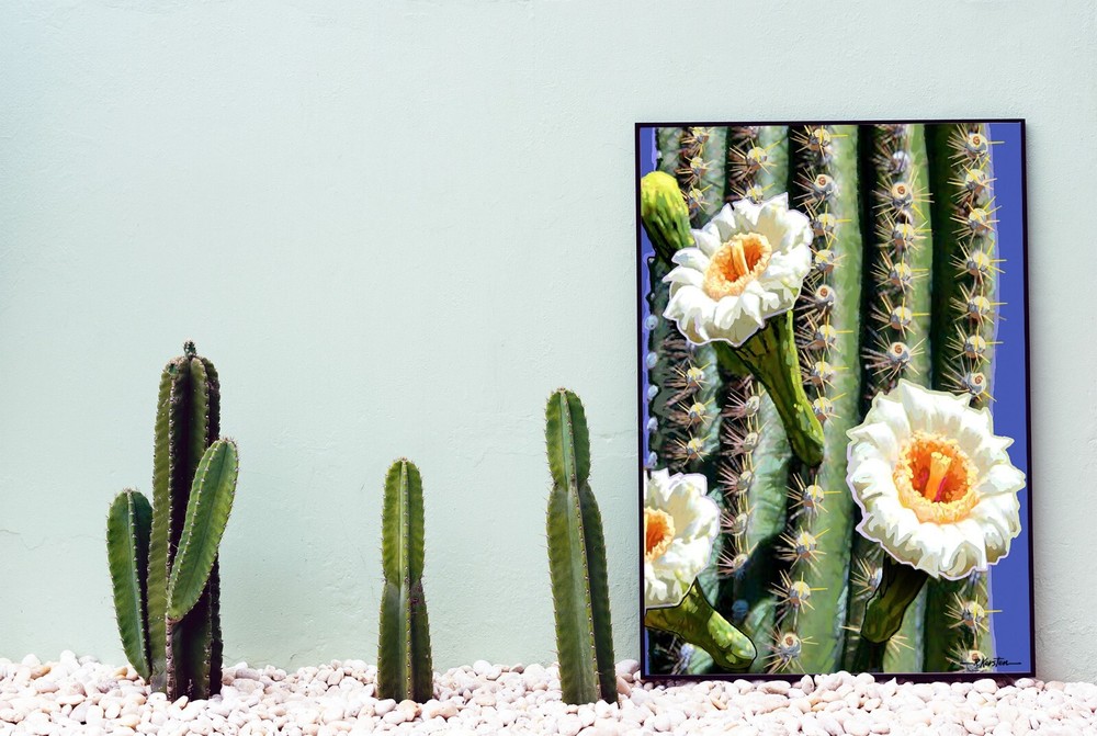 Cactus Note Card | Arizona Note Card | Succulent Note Cards (Assorted)