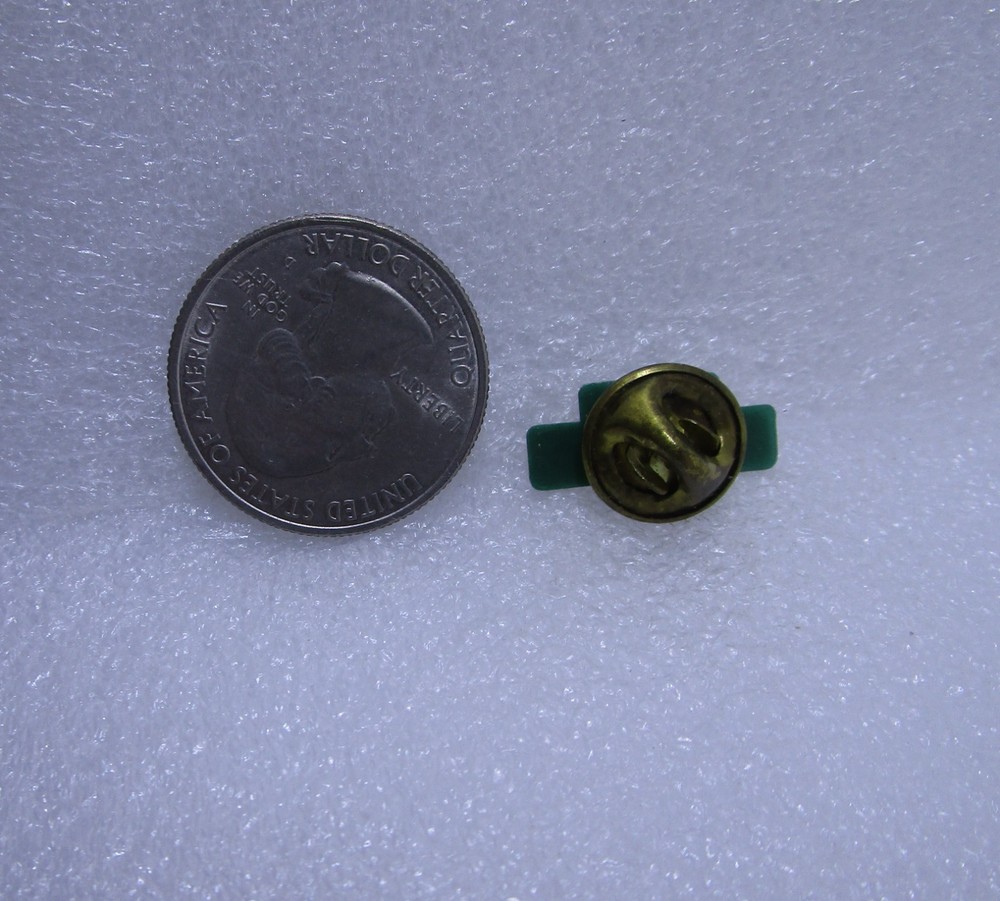 Channel Pride Plastic Pin
