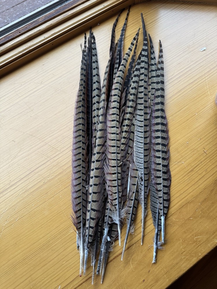 20-22” Pheasant Tail Feathers Set Of 10
