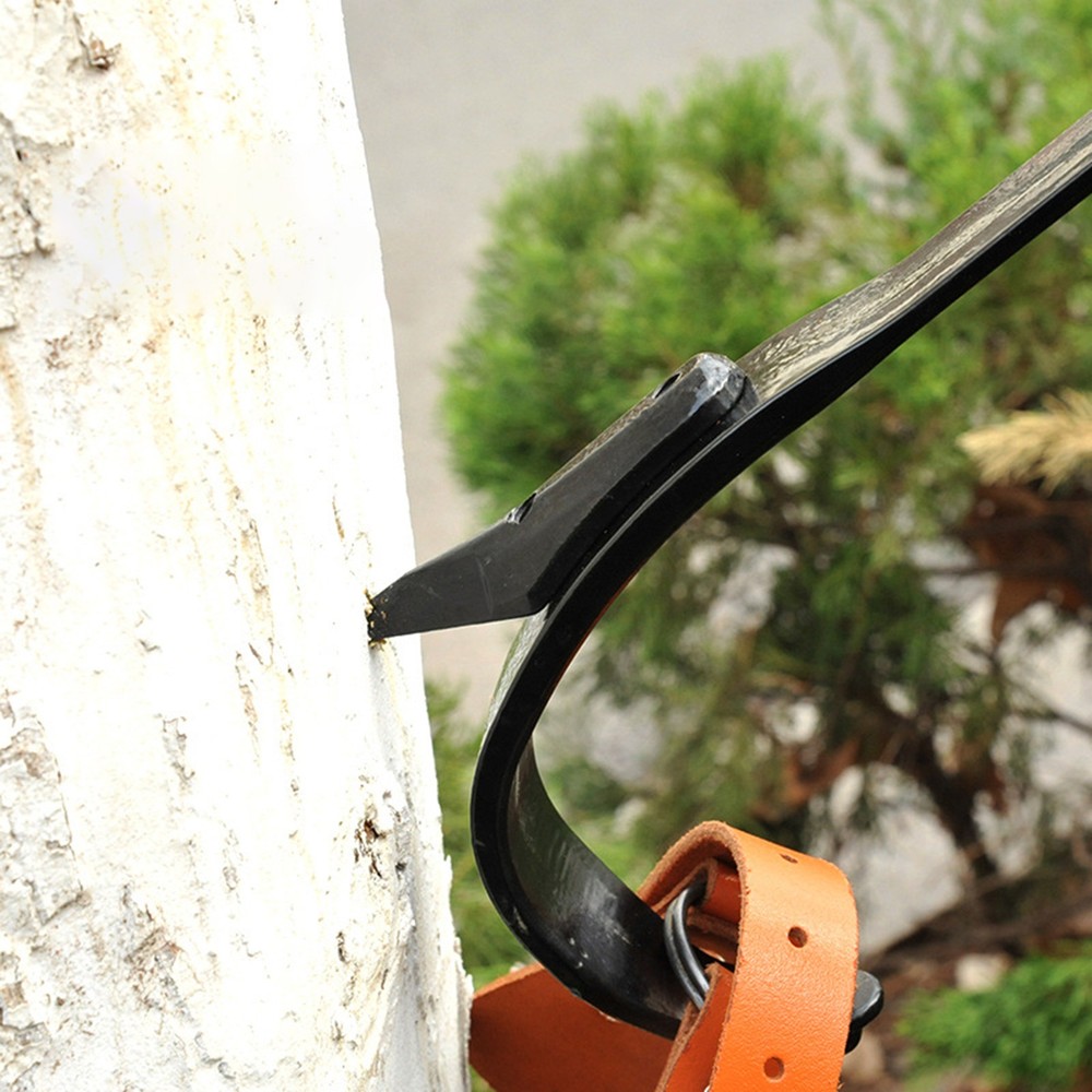 Tree Climbing Spike Set with Safety Belt for Tree Work Camping Accessories
