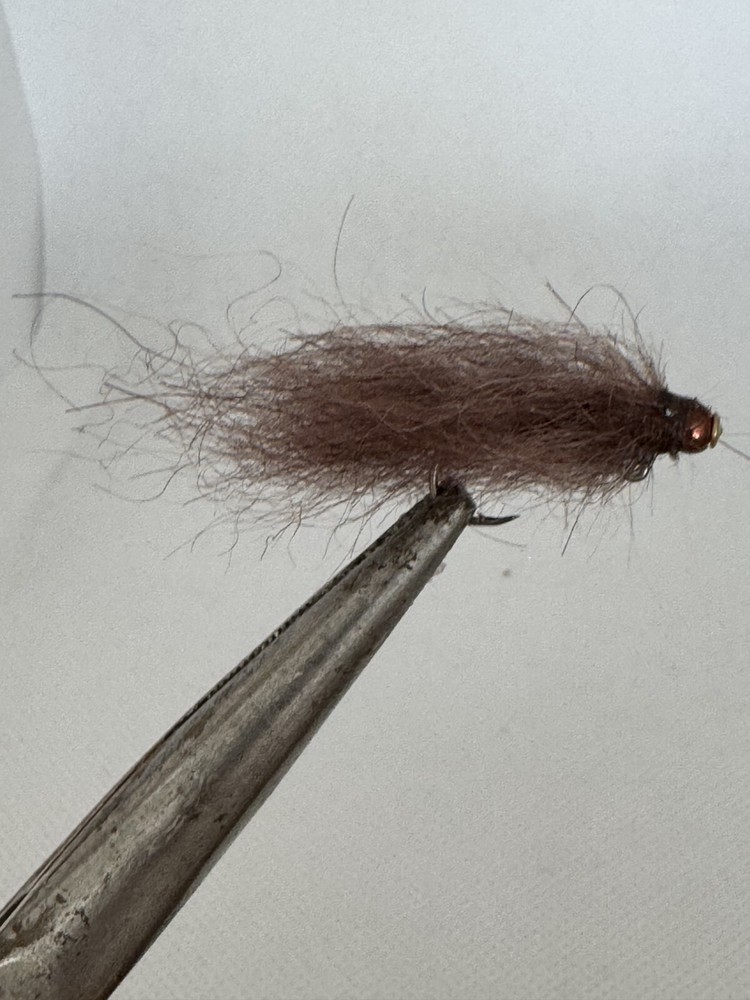 Balanced Simi Seal Leech Size 8 Brown