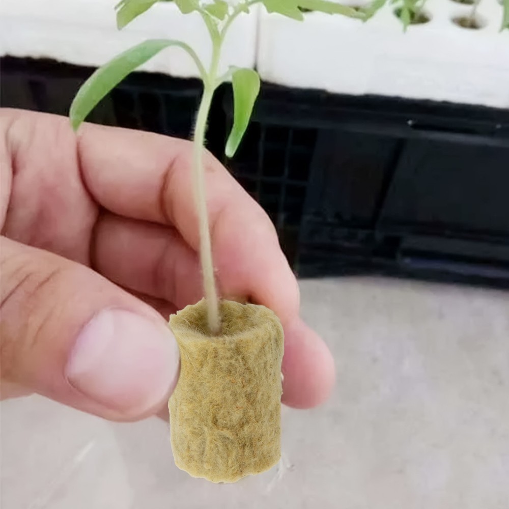 Rock Wool Substrates for Hydroponics Efficient Moisture Retention Size 27x20 mm