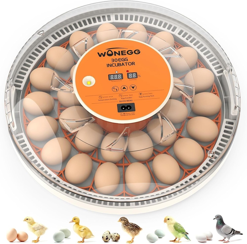 30 Egg Incubator with Humidity Display, Egg Candler, Automatic Egg Turner, for H