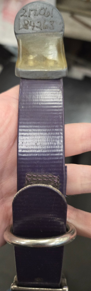 Hunting Dog Tracking Collar