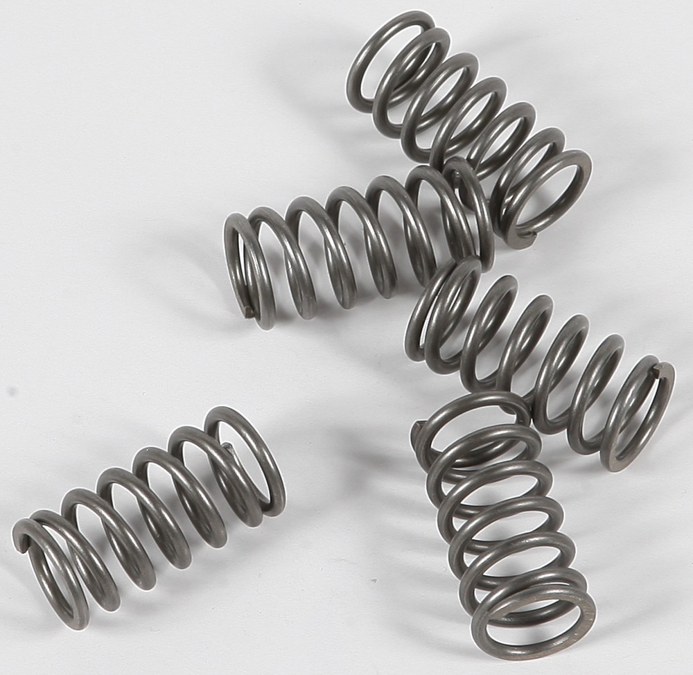 EBC Clutch Spring Set - Clutch Springs - CSK116