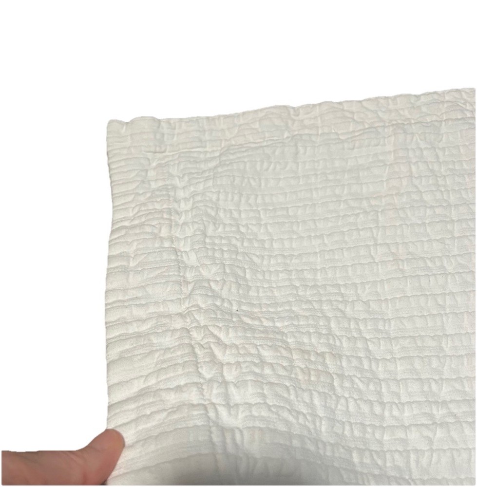 2 Pottery Barn Standard Pillow Shams 26X20