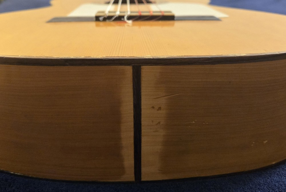 Santos Hernandez 1919