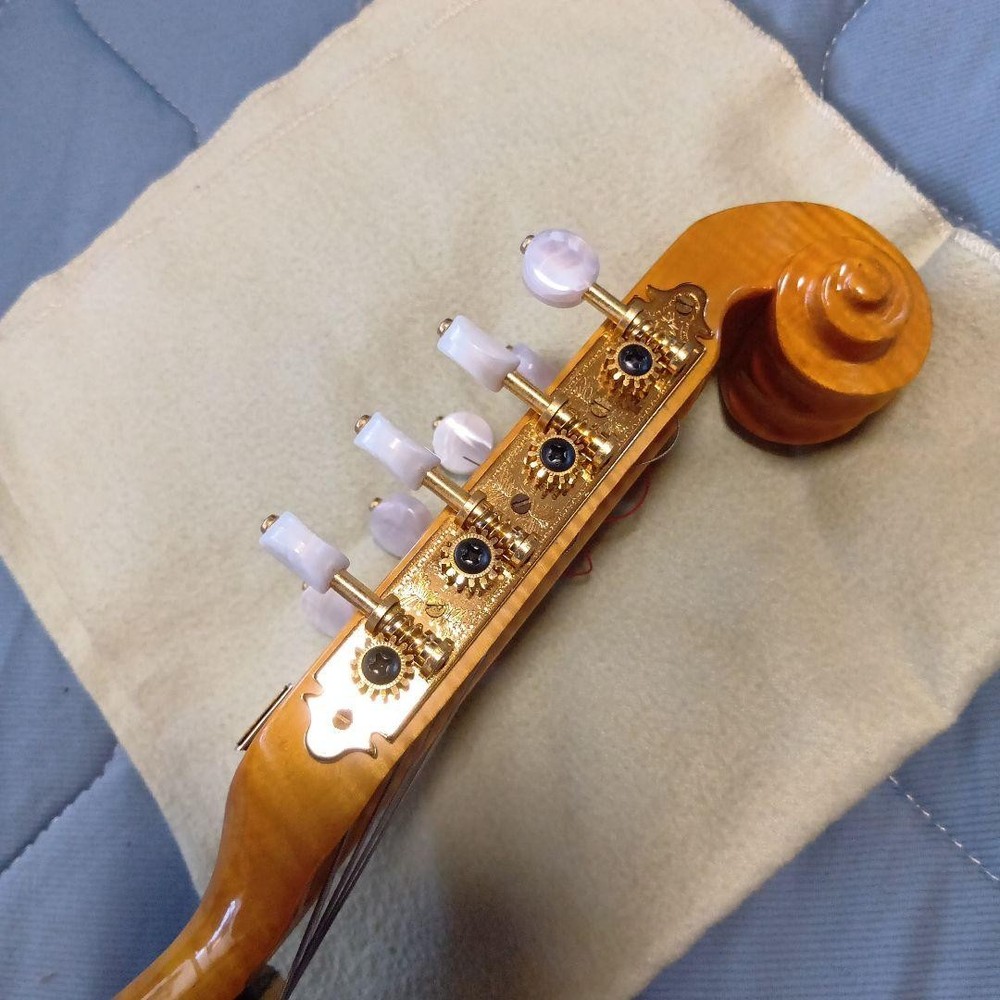 Mandolin 8 string orange with case
