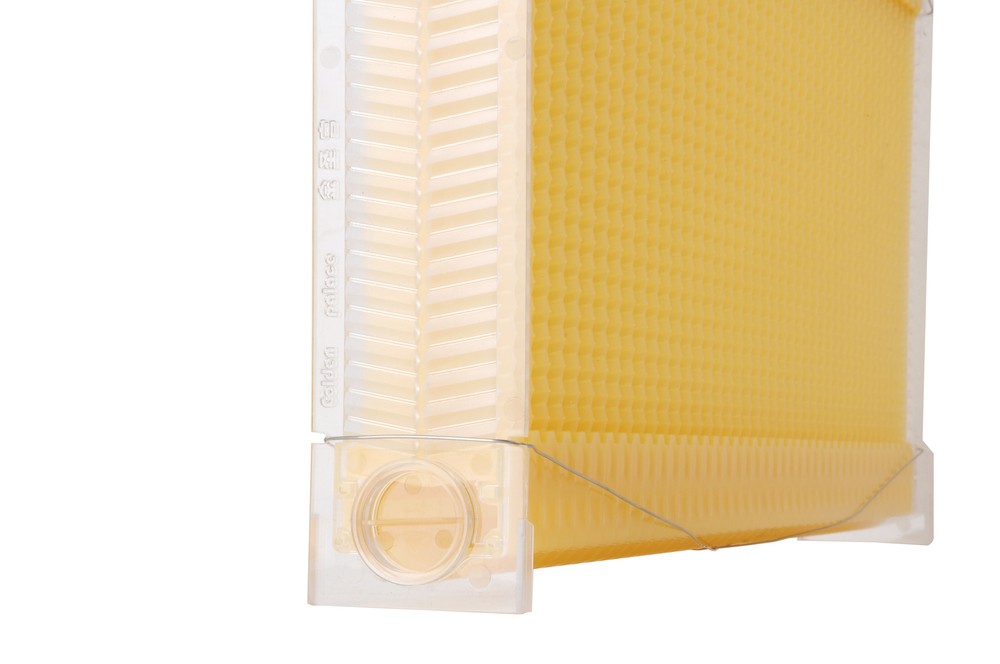 7 x Auto Shed Beekeeping Frames Beehive Frame BPA free Plastic Beehive Frames