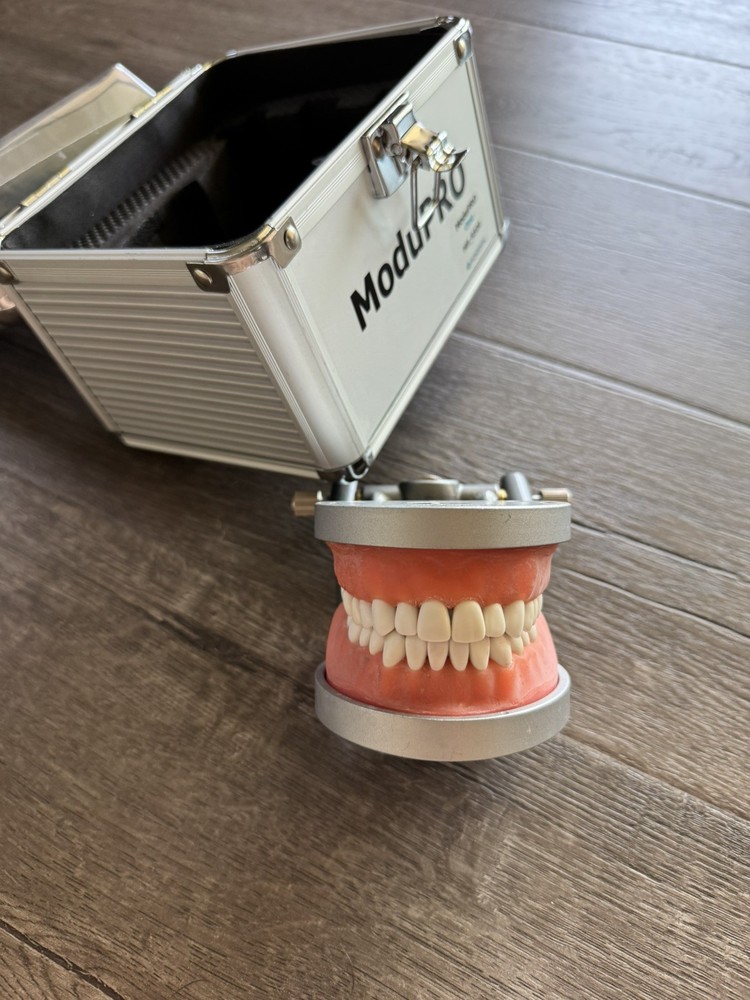 Acadental MuduPro Typodont - New Teeth & Carrying Case