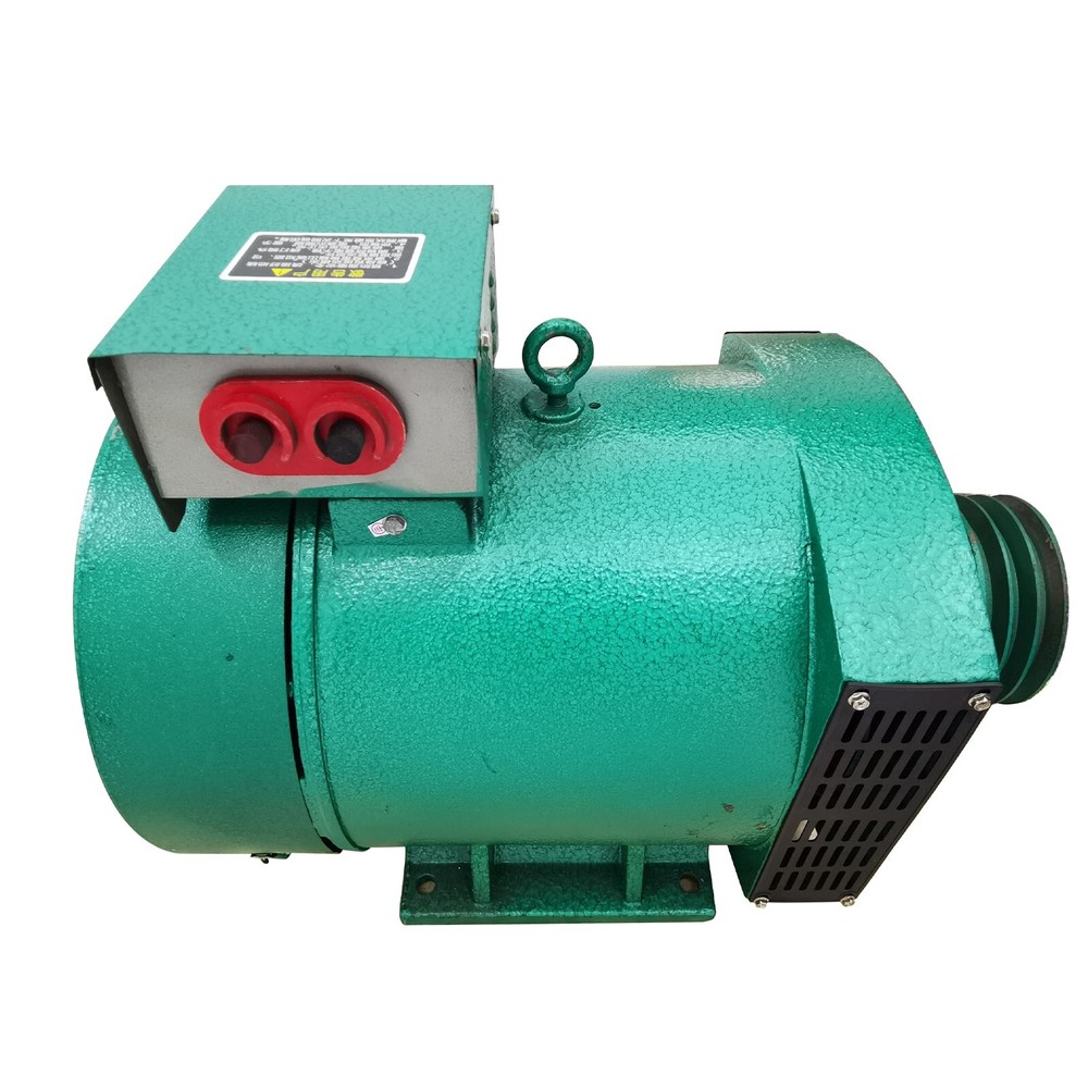 220V 1-Phase Driven Generator Brushed Generator Pure Copper Engine
