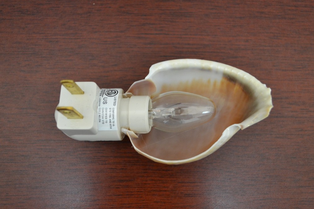 BONNET SEA SHELL NIGHTLIGHT BATHROOM KITCHEN #7909